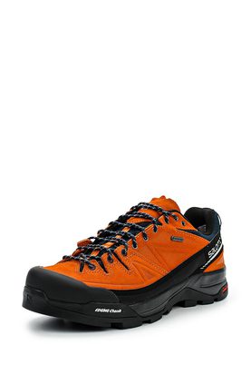 Salomon   X ALP LTR GTX